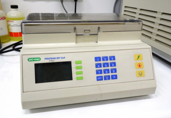 PROTEAN IEF Cell for isoelectric focusing